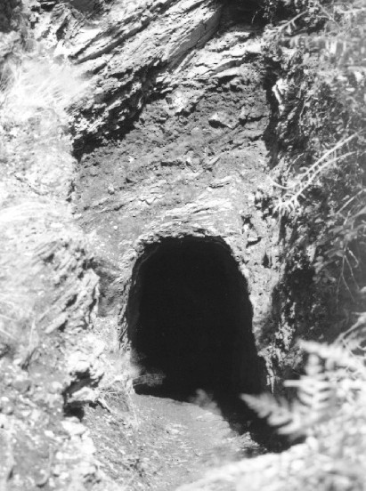tunel romeor